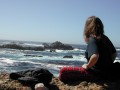 Point Lobos